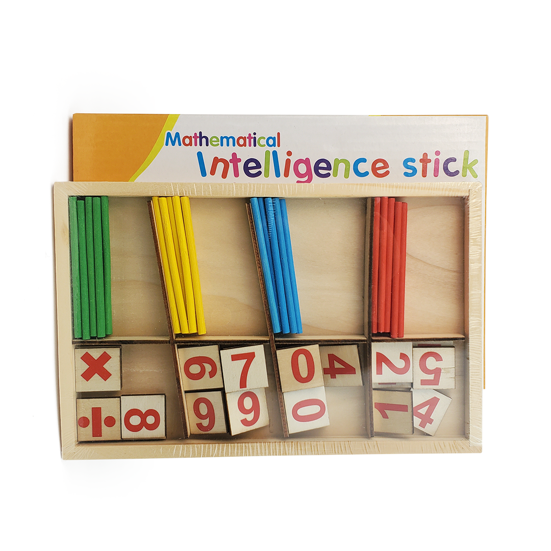 Mathematical Intelligence Stick Age 3+ Notes
