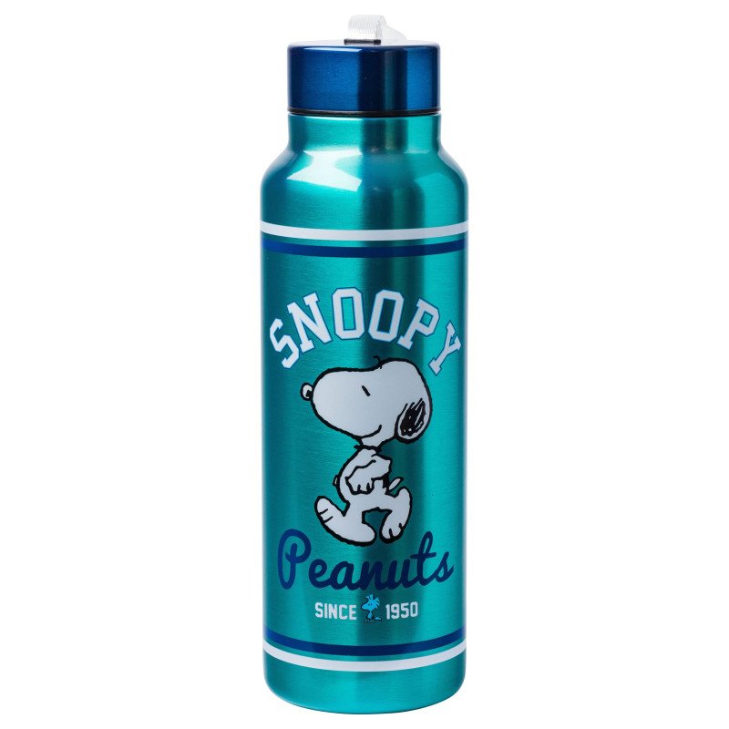 Peanuts Snoopy Collegiate Stainless Steel Water Bottle